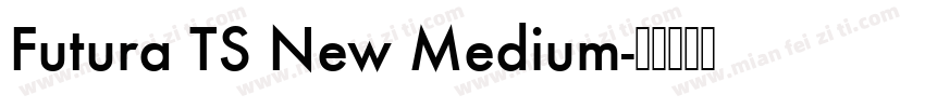 Futura TS New Medium字体转换